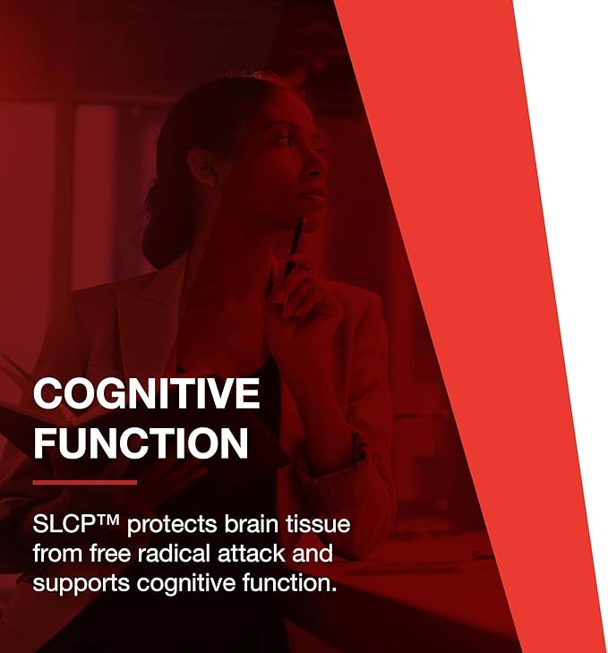Protocol Cogumin SLCP 400mg Curcumin - Neurological Support* - with Curcuma Longa Extract - Cognitive Support Supplement* - Vegan-Friendly & Non-GMO - 50 Veg Capsules