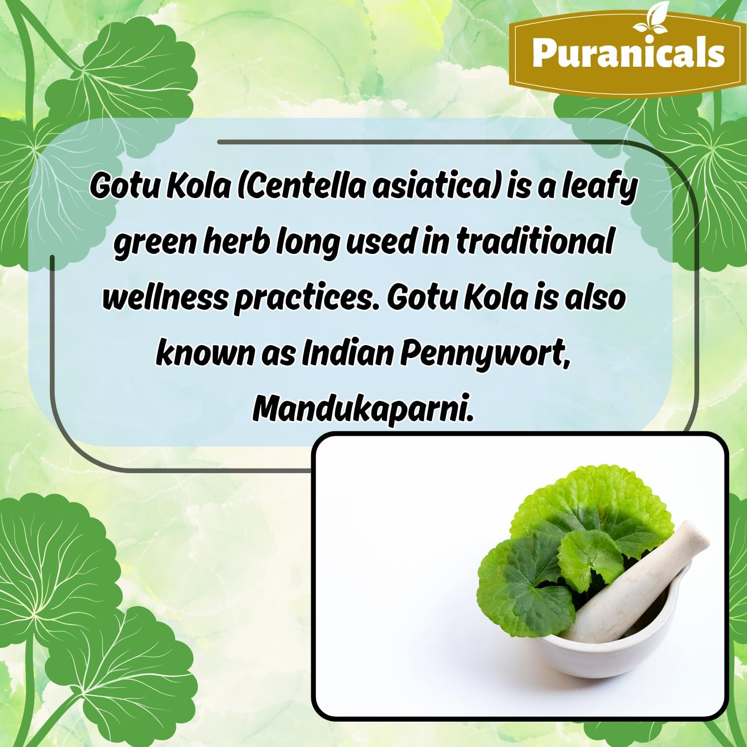 Gotu Kola Premium 320 Capsules Non GMO and Gluten Free | Herbal Supplement | 600 mg Per Serving | Made with 100% Pure Gotu Kola Powder