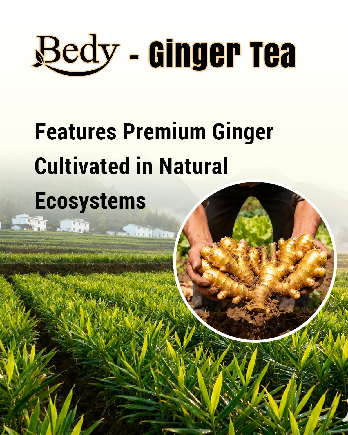 Bedy Ginger Tea Supports Healthy Digestion, Pure Natural Herbal Tea, Spicy & Warm, Caffeine Free, 120 Teabags Individually Wrapped