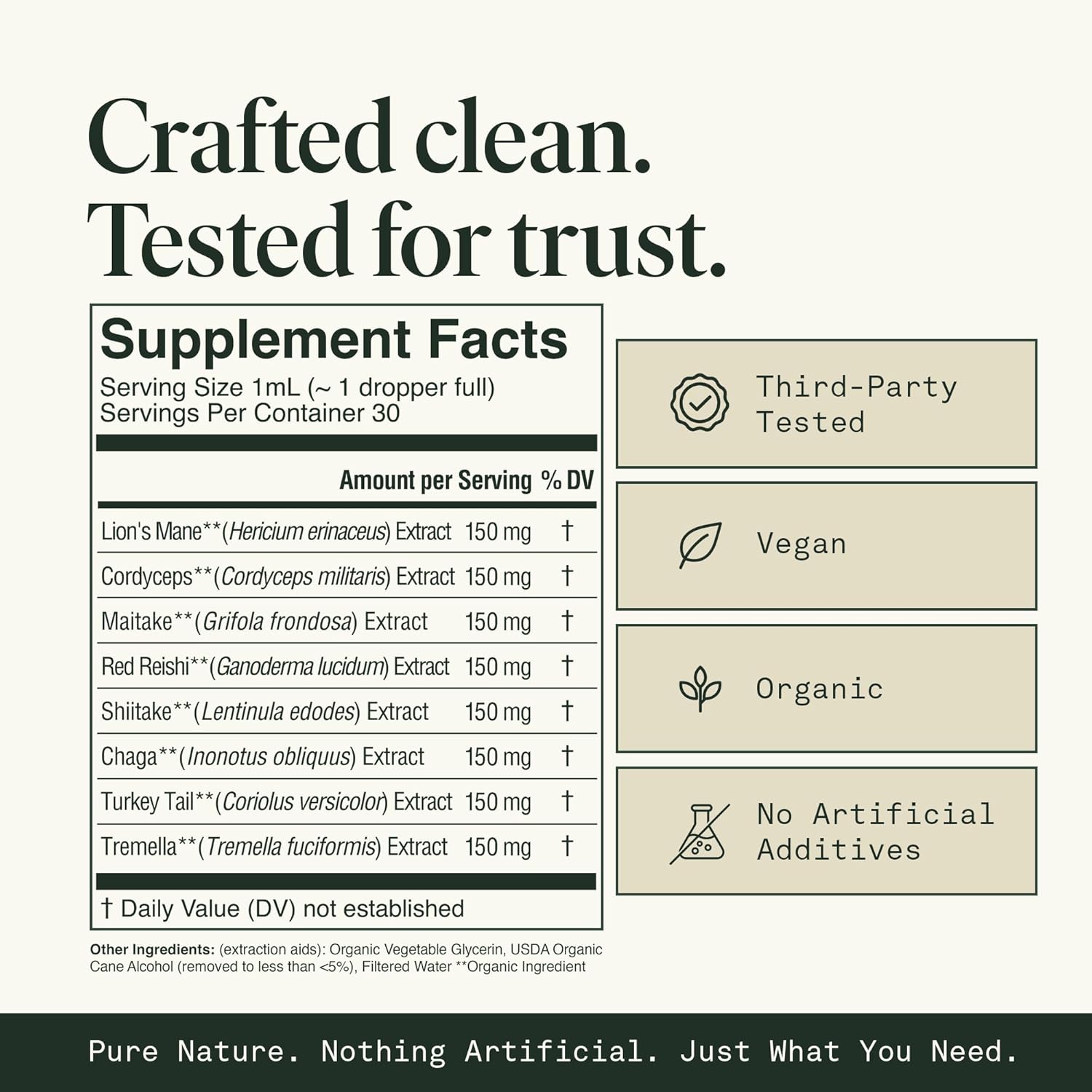 Fantastic Fungi Mushroom Extract - 8-in-1 Organic Complex Mushroom Supplement with Cordyceps, Reishi, Lion’s Mane, Chaga, Turkey Tail, Shiitake, Maitake & Tremella - Adaptogen Liquid Tincture, 1 fl oz