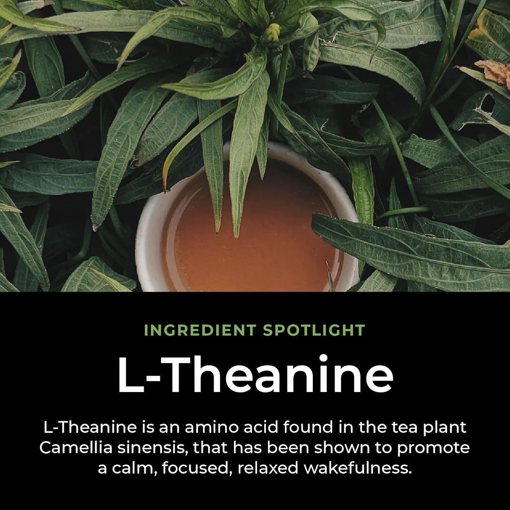 Productive Energy Tea - Enhanced Focus & Energy with 100mg L-Theanine, 90mg Caffeine Organic Guayusa & Yerba Mate, Assam Black Tea - Crash-Free Cognitive Boost