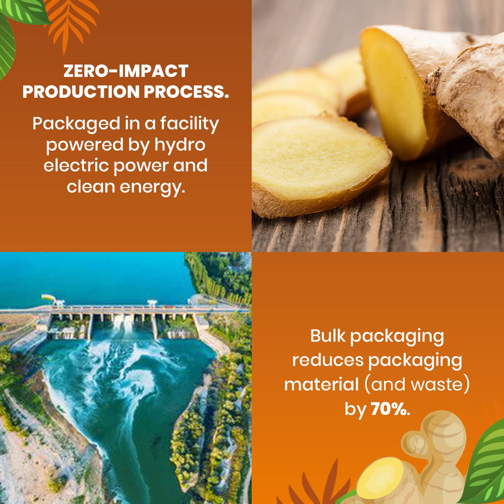 Organic Ginger Tea — 100 Tea Bags | Organic Herbal Tea From Single Origin | Eco-Friendly | Non-GMO Caffeine Free | Cederberg Tea Company.