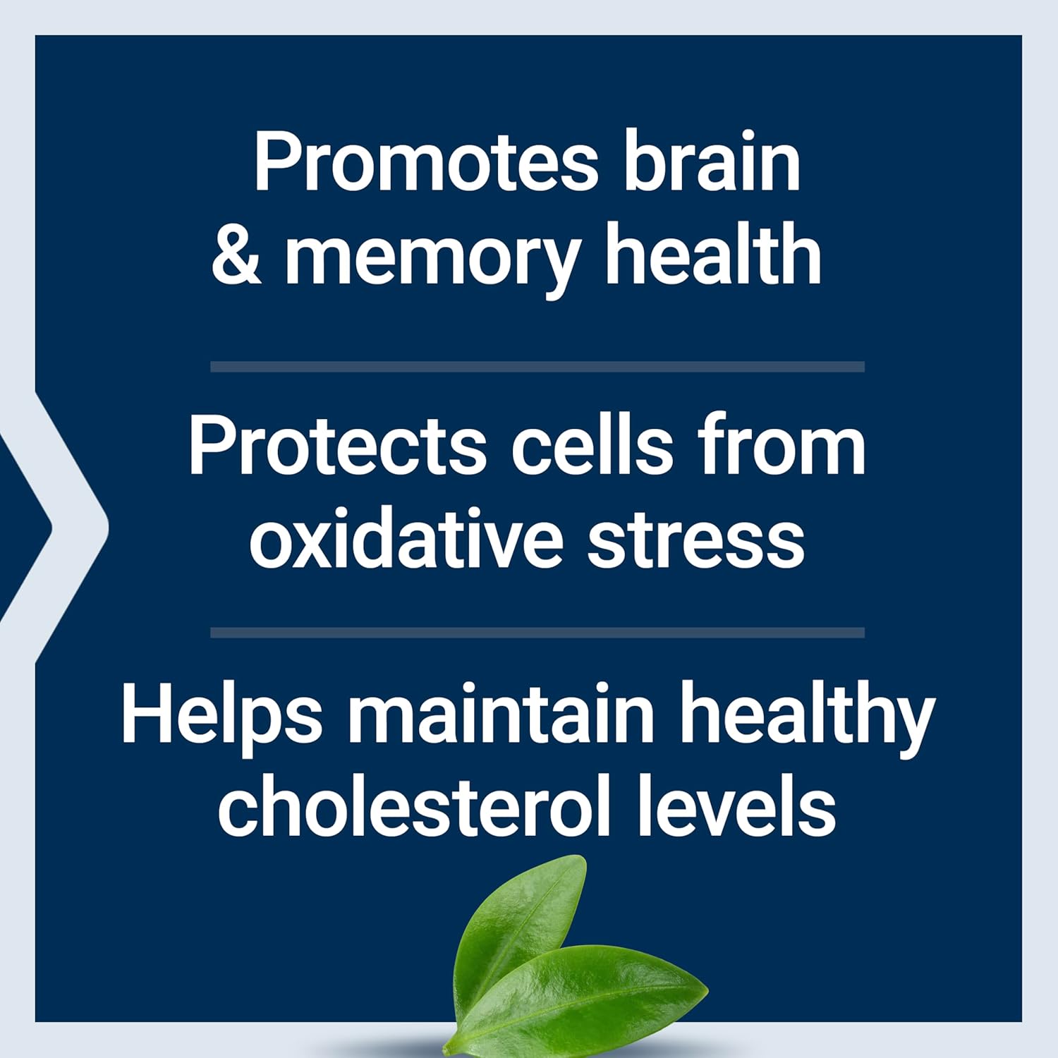 Life Extension Blueberry Extract Capsules, supports cognitive & memory health, helps maintain already-healthy cholesterol levels, fights oxidative stress, gluten-free, non-GMO, vegetarian, 60 capsules