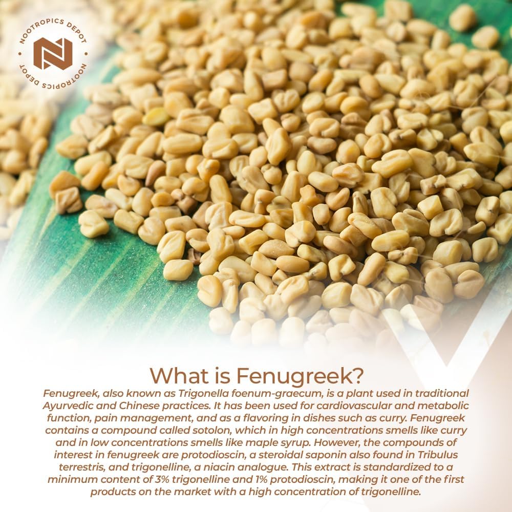 Nootropics Depot Fenugreek Extract Capsules | 500mg | 60 ct | 3% Trigonelline, 1% Protodioscin | Trigonella foenum-graecum | Mood, Fitness, & Metabolic Function