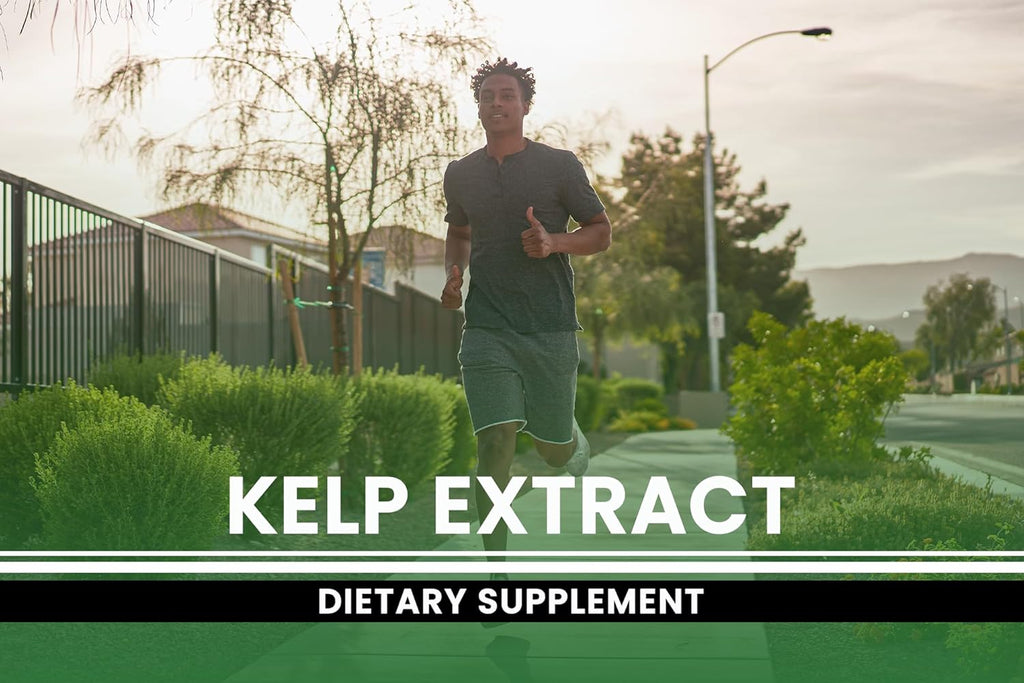 Pure Original Ingredients Kelp Extract (365 Capsules) No Magnesium Or Rice Fillers, Always Pure, Lab Verified