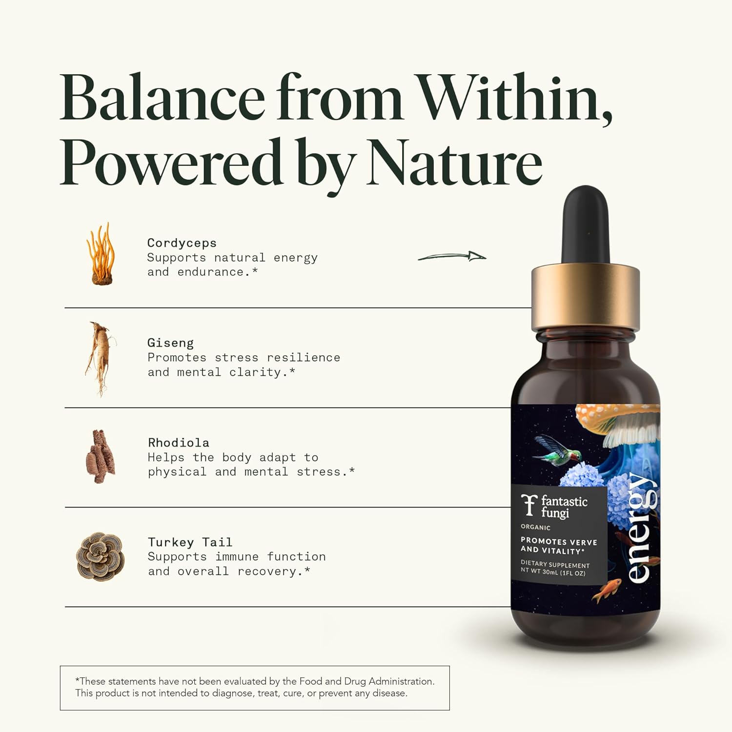 Cordyceps Mushroom Extract Liquid Fantastic Fungi Energy Elixir, 4-in-1 Vitality and Stress Support Supplement w/ Ginseng, Turkey Tail, Rhodiola - 100% Organic & Natural, 30 Servings, 1 fl oz