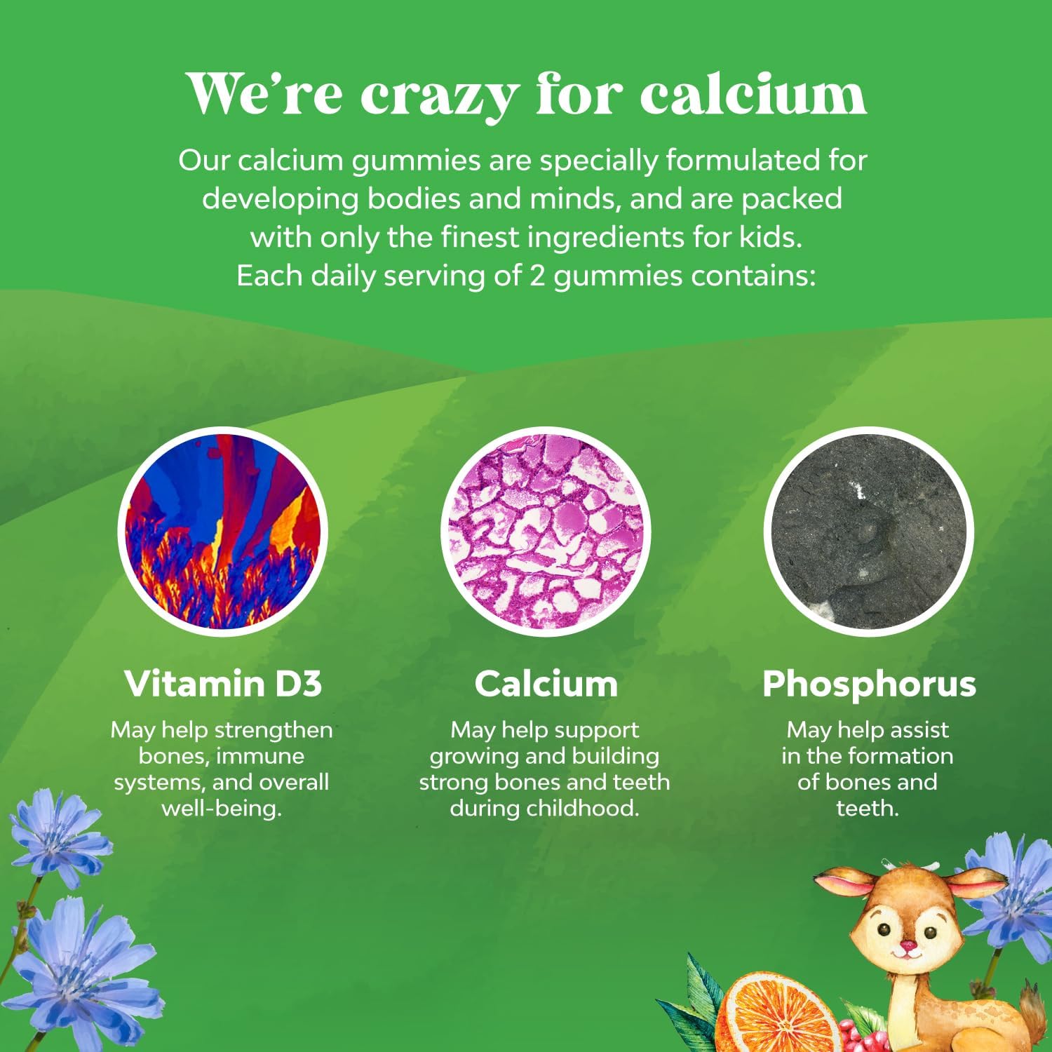 Natures Craft Tasty Kids Calcium Gummies - Vitamin D & Calcium Gummies for Children - Vitamin with & D for Muscle Bone Development Gelatin-Free Kosher Childrens 30ct (1 Pack)