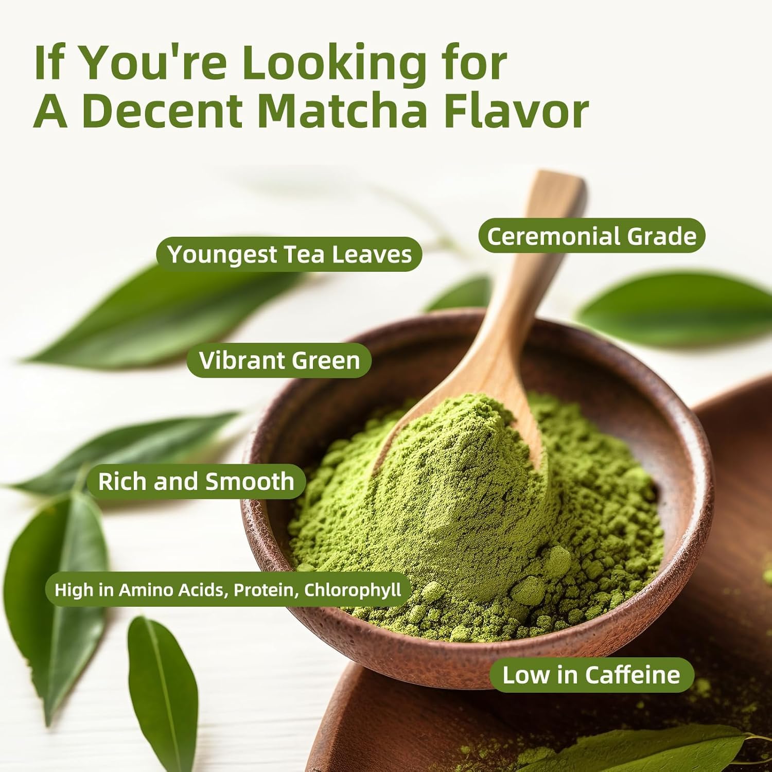 GANOHERB Mushroom Matcha Latte Powder, 7.4 Ounce, 7 Superfood Mushrooms with 25% Beta-Glucans, Lions Mane, Reishi, Chaga, Coconut Powder, Ceremonial Grade Matcha Latte Green Tea