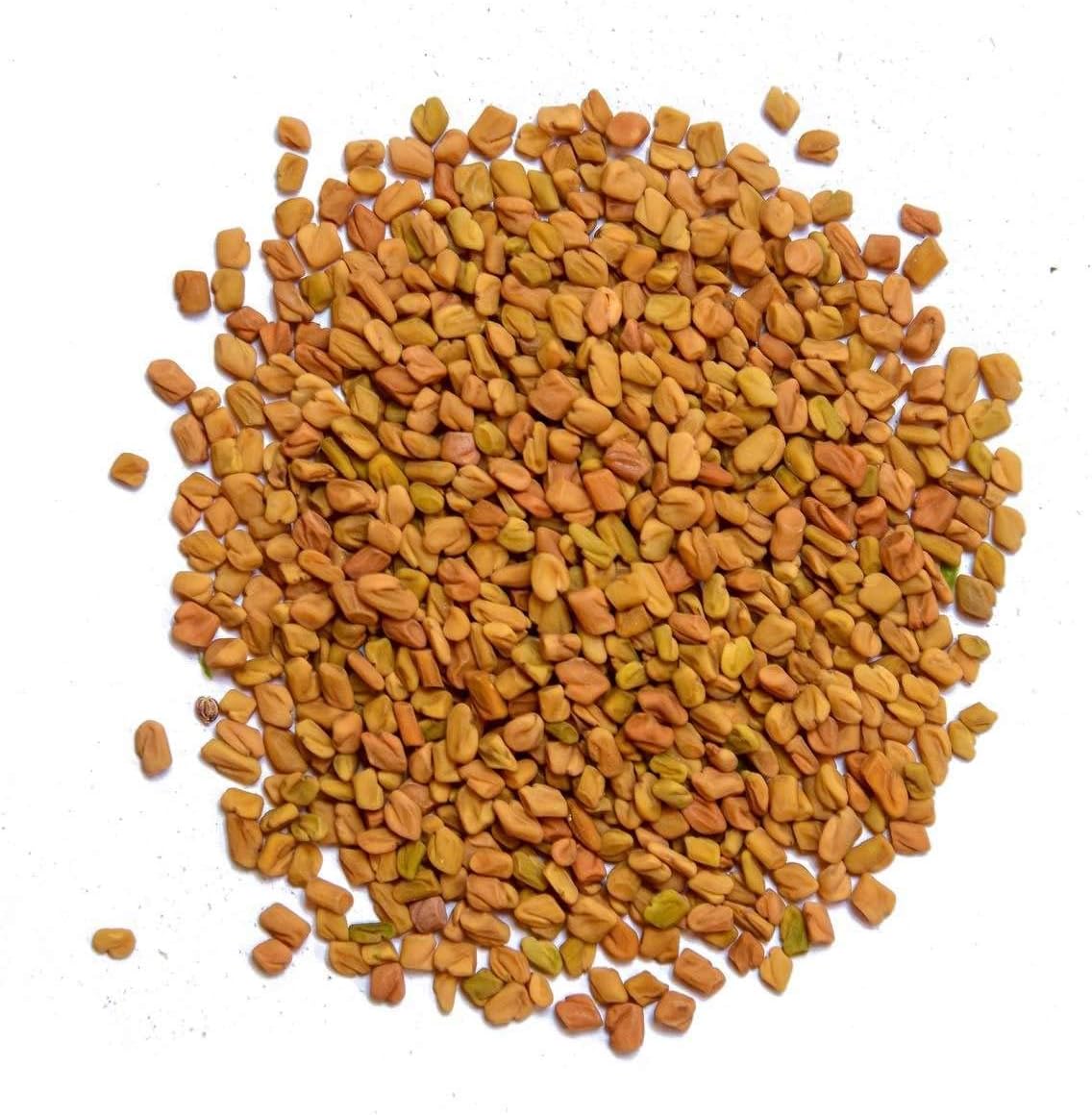 bixa BOTANICAL Fenugreek Powder (Trigonella foenum) ǀ Ayurvedic Herbal Supplement | 1 Pound / 16 OZ | Gluten Free, Non-GMO, Steam Sterlized, Vegan, 100% Pure.