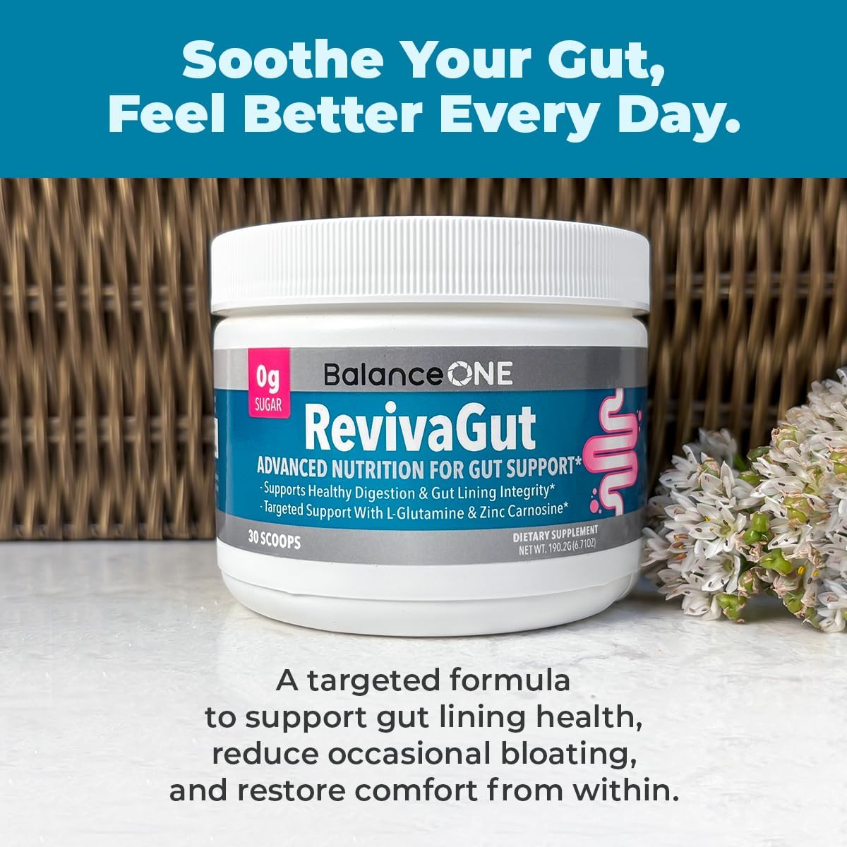 Balance ONE RevivaGut – Gut Lining & Digestive Support Powder – L-Glutamine, Zinc Carnosine, DGL Licorice, Slippery Elm – Leaky Gut Support, Bloating Relief – Non-GMO, 30 Servings