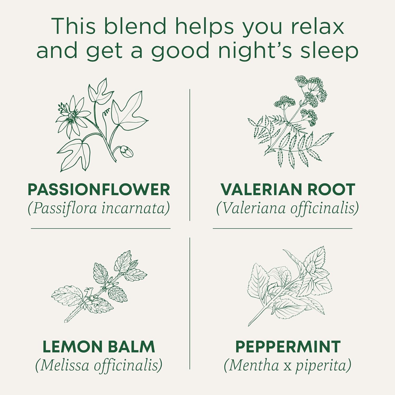Traditional Medicinals Organic, Nighty Night Extra, Valerian Root & Lemon Balm - Herbal Sleep Aid Tea - Kosher, Non-GMO, Caffeine-Free, Compostable - 96 Tea Bags (6 Packs of 16)