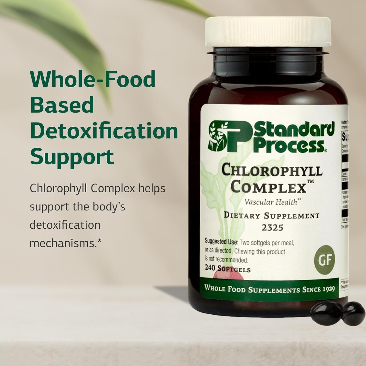 Standard Process Chlorophyll Complex - Immune Support, Antioxidant Activity, Skin Health and Hair Health Support with Vitamin A, Sunflower Lecithin, Buckwheat, Spanish Moss, and More - 240 Softgels