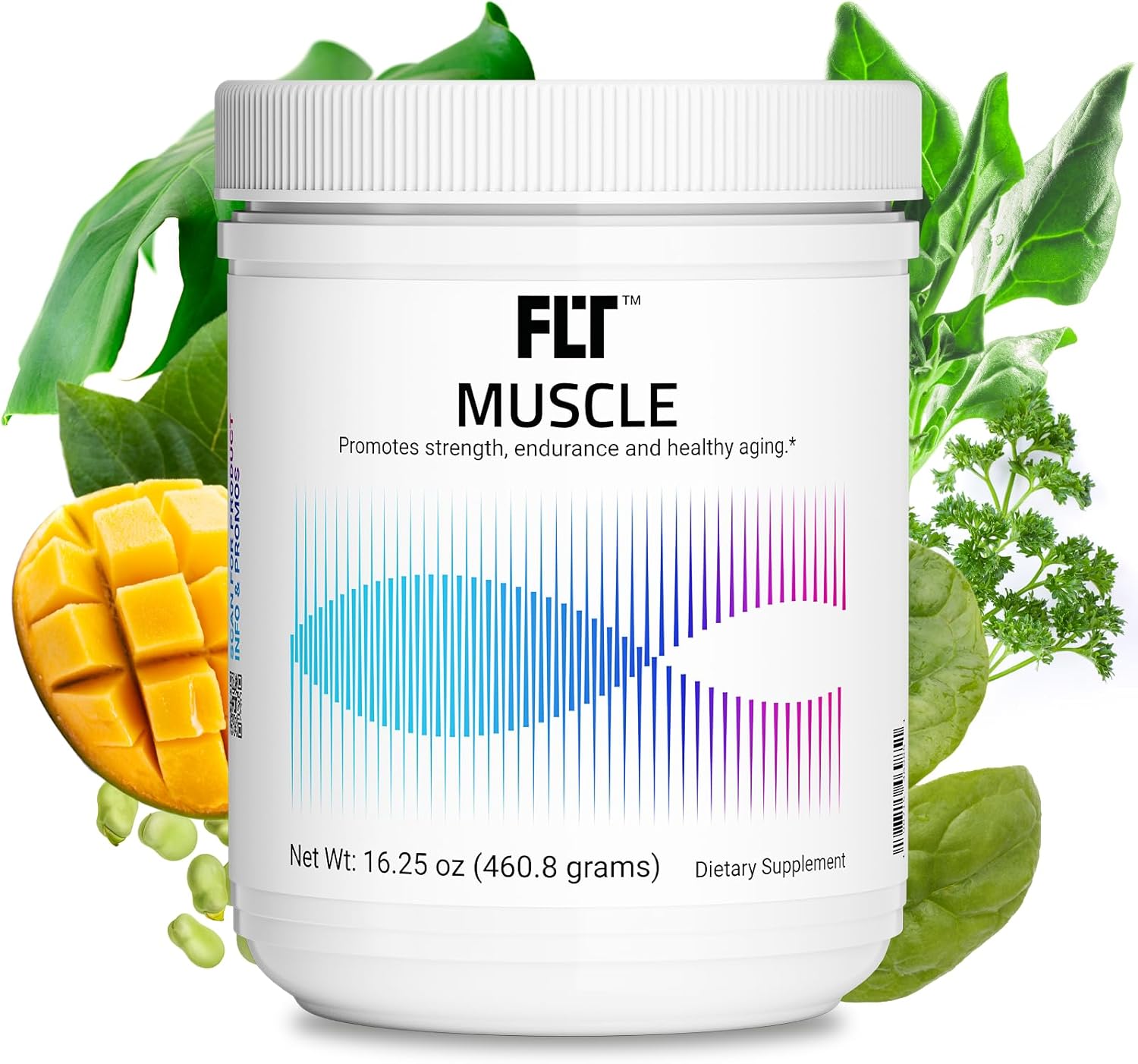 FLT Muscle Supplement with Clinically Proven Ingredients for Muscle Strength, Recovery, Endurance & Muscle Mass Maintenance - with Peptides, Creatine, Magnesium, Zinc & Electrolytes – 30 Servings