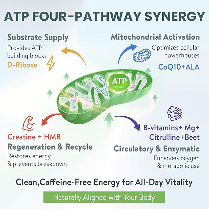 Premium ATP Supplements Powder for Cellular Energy & Performance | D-Ribose, Creatine, CoQ10, L-Citrulline | Nitric Oxide Booster & Mitochondrial Support | Caffeine-Free, 30 Servings