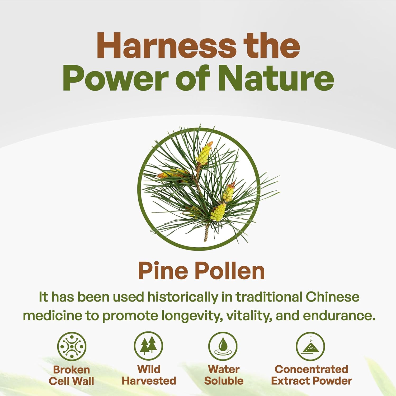 Go Nutra - Pine Pollen Powder, Potent 10:1 Pine Pollen Powder from Masson Pine Trees, Pure Powdered Pine Pollen for Tea, Coffee, Juice, Smoothies, and More, Non-GMO, Vegan, 1 lb