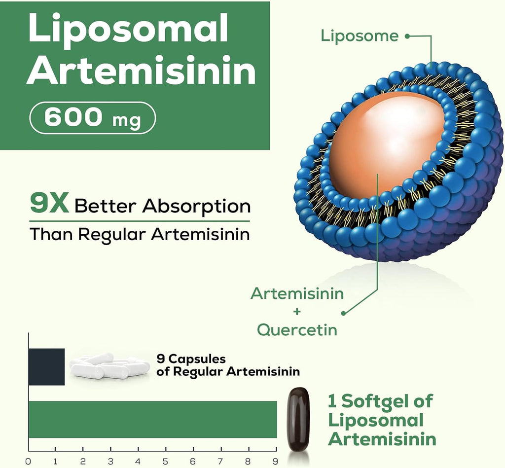 900 mg Liposomal Artemisinin for Maximum Absorption, Sweet Wormwood Extract(Artemisia Annua) with Quercetin Phytosome 200 mg, 60 Softgels - 2 Months Supply