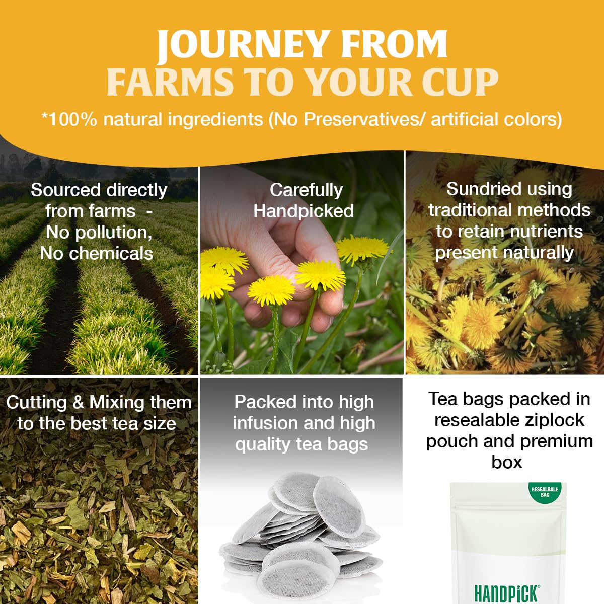 HANDPICK - Dandelion Root Tea bags, 100 Teabags - Natural Dandelion Herbal Tea for Liver & Kidney Health - Non-GMO - Caffeine-free - Support Digestion & Boost Immune System