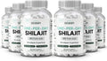 One-Per-Day Shilajit for Men and Women - Natural and Potent Shilajit Supplement for Age-Defying, Bone Strength, Hormone Support and More - 6 Bottles Shilajit Capsules