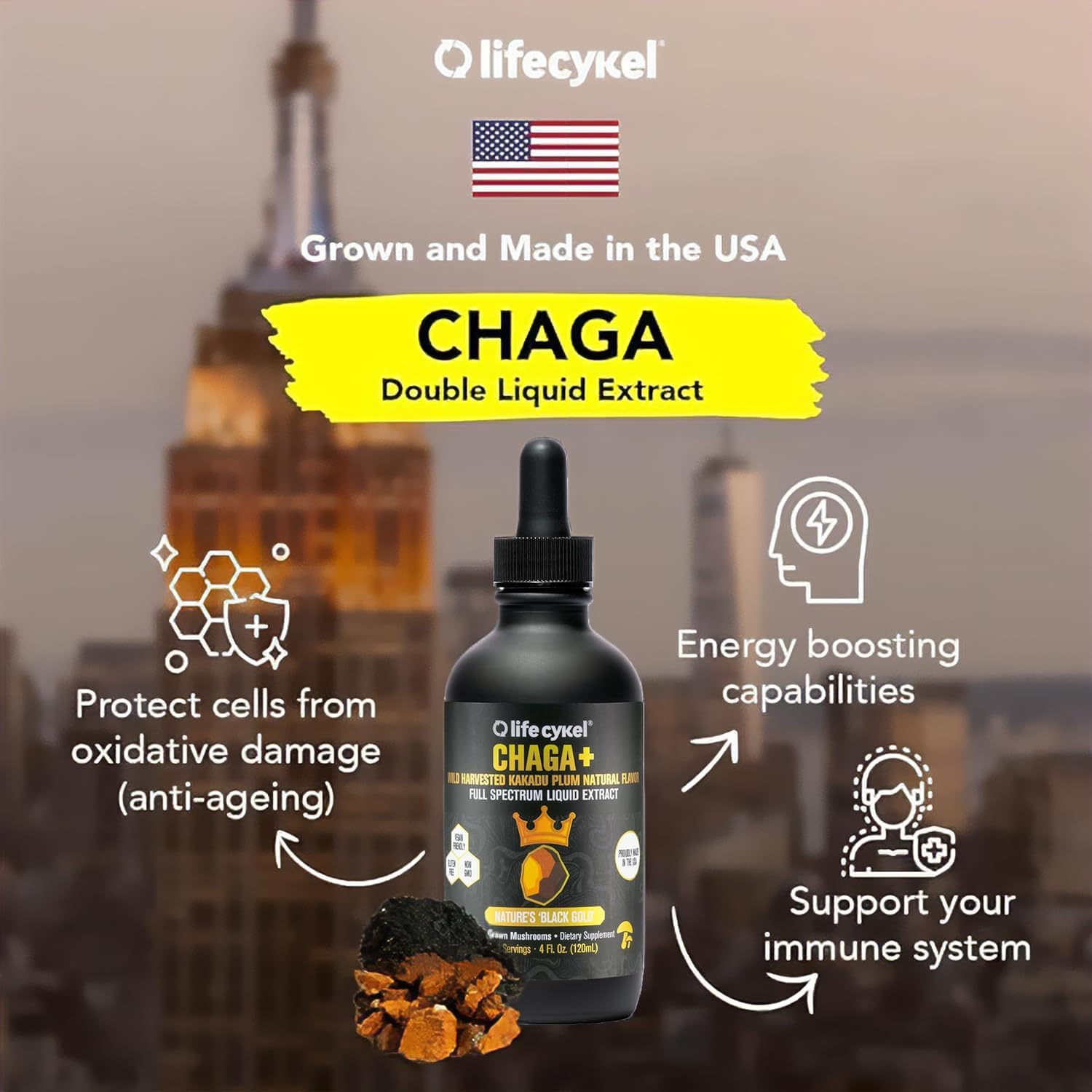 Life Cykel - Chaga Mushroom Extract with Kakadu Plum - Double Extracted Mushroom Tincture - Non-GMO Immune Support Supplement for Adults and Kids - 4 Fl Oz