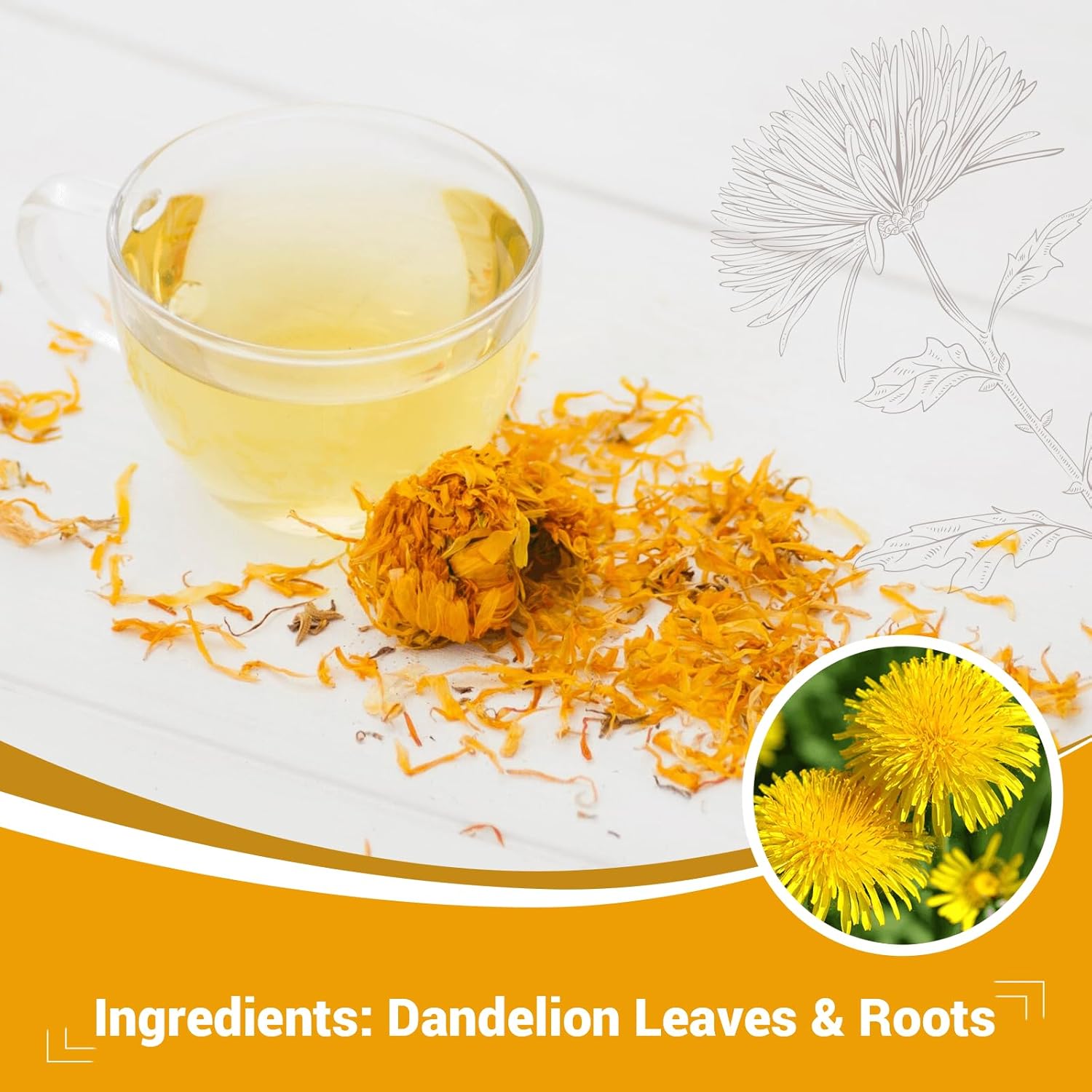 Dandelion Leaf & Root Herbal Tea-Caffeine-free herbal tea，No Sugar，100 Teabags