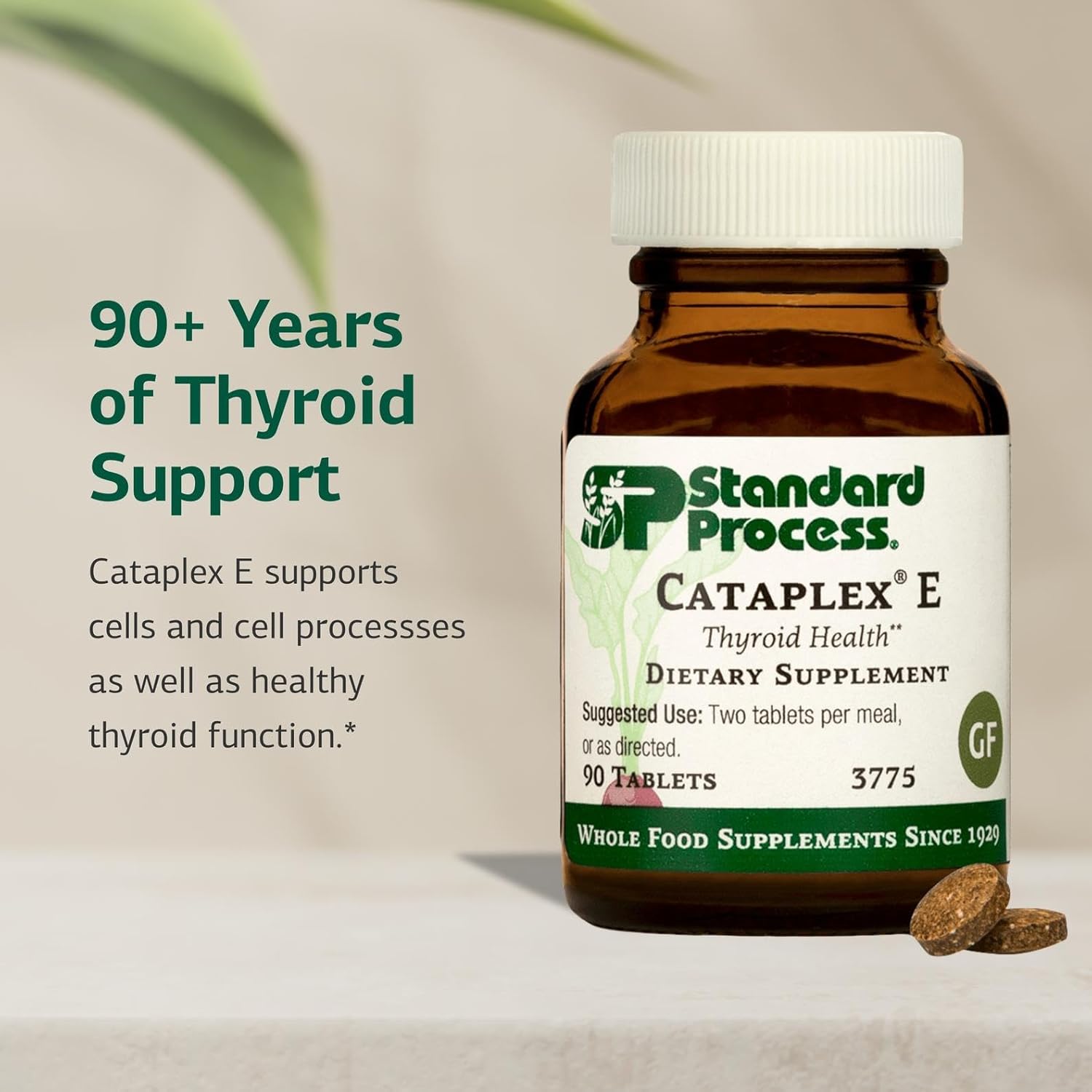 Standard Process Inc. Cataplex E - Whole Food RNA Supplement and Antioxidant with D-Alpha Tocopherol Vitamin E, Beet Root, Ascorbic Acid, Inositol, Selenium, and Honey - 90 Tablets