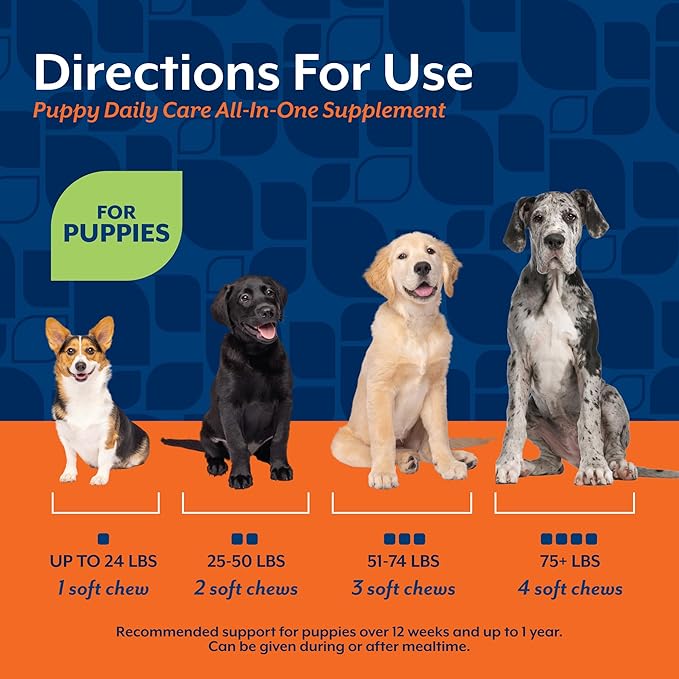 NaturVet All-In-One Puppy Daily Care, 6-In-1 Support Dog Soft Chews to Help Bones, Joints, Digestion, Teeth, Cognition, and More, Hickory Smoked Bacon Flavored Pet Supplement for Puppies, 60 Count Jar