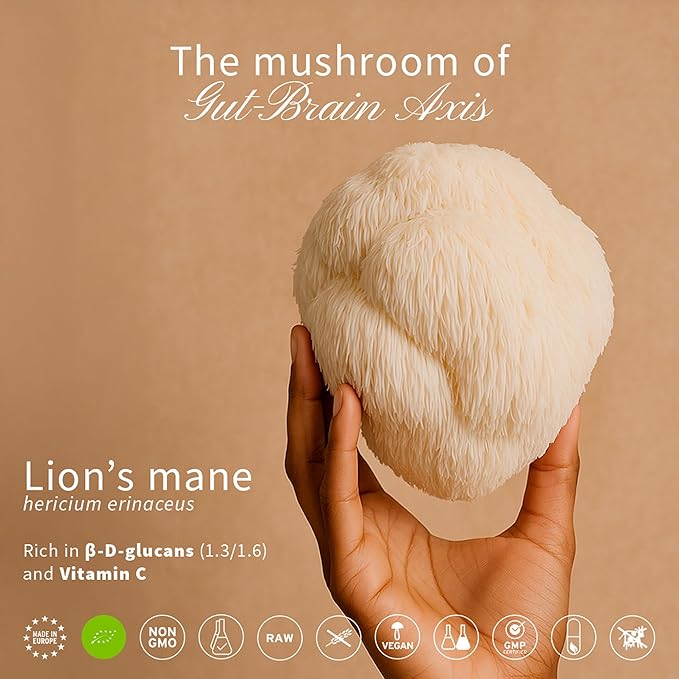 Hifas de Terra Mico-Leo - Organic Lions Mane Supplement Capsules, Lion's Mane Mushroom Extract, Nootropic for Brain, Focus, and Memory for Adults - 70 Vegan Capsules