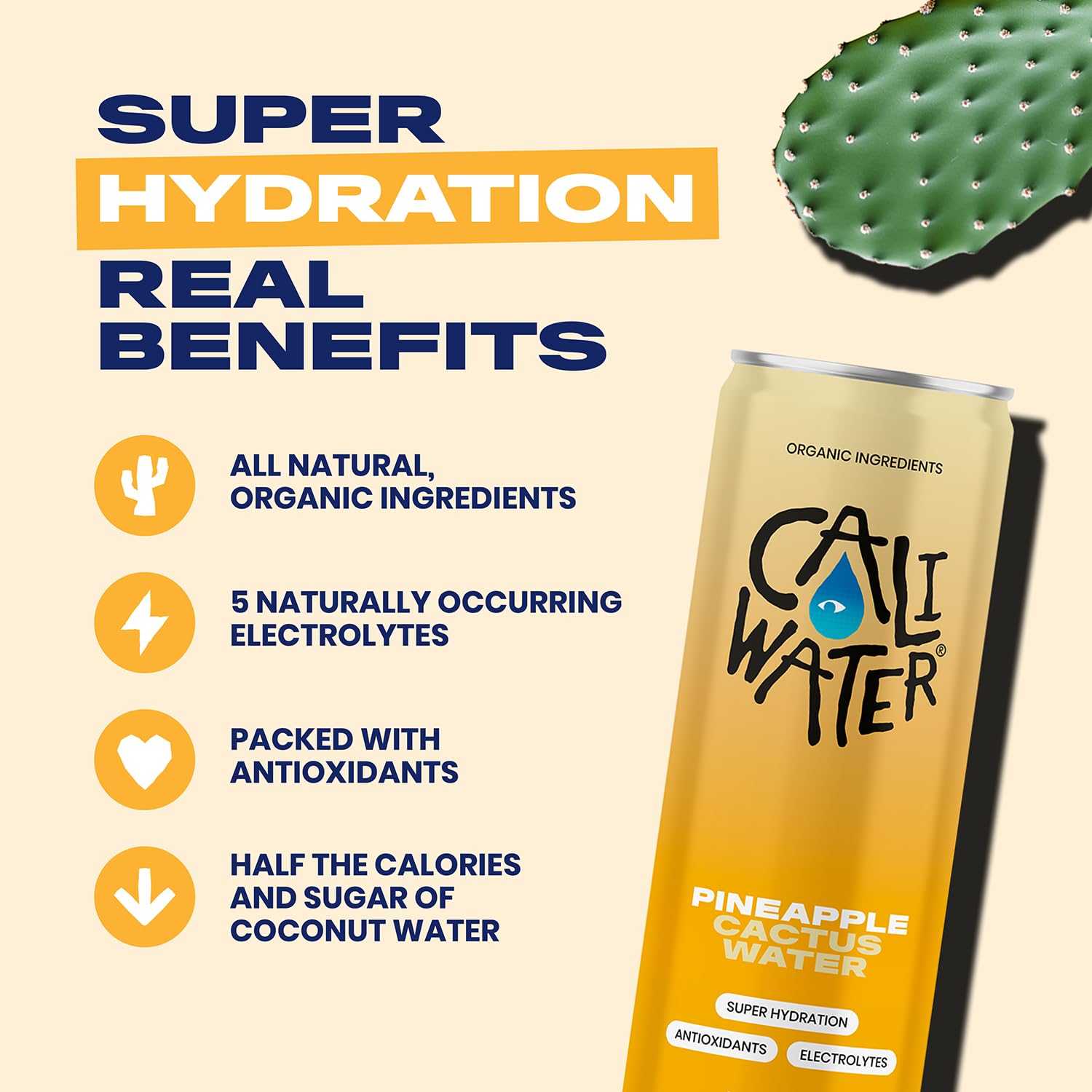 Caliwater - Organic Cactus Water - Pineapple - 5g Sugar, 35 Calories - Coconut Water Alternative - Natural Plant Based Hydration - Skin Care, Electrolyte Drinks - Flavored Water Beverages - 12 Cans