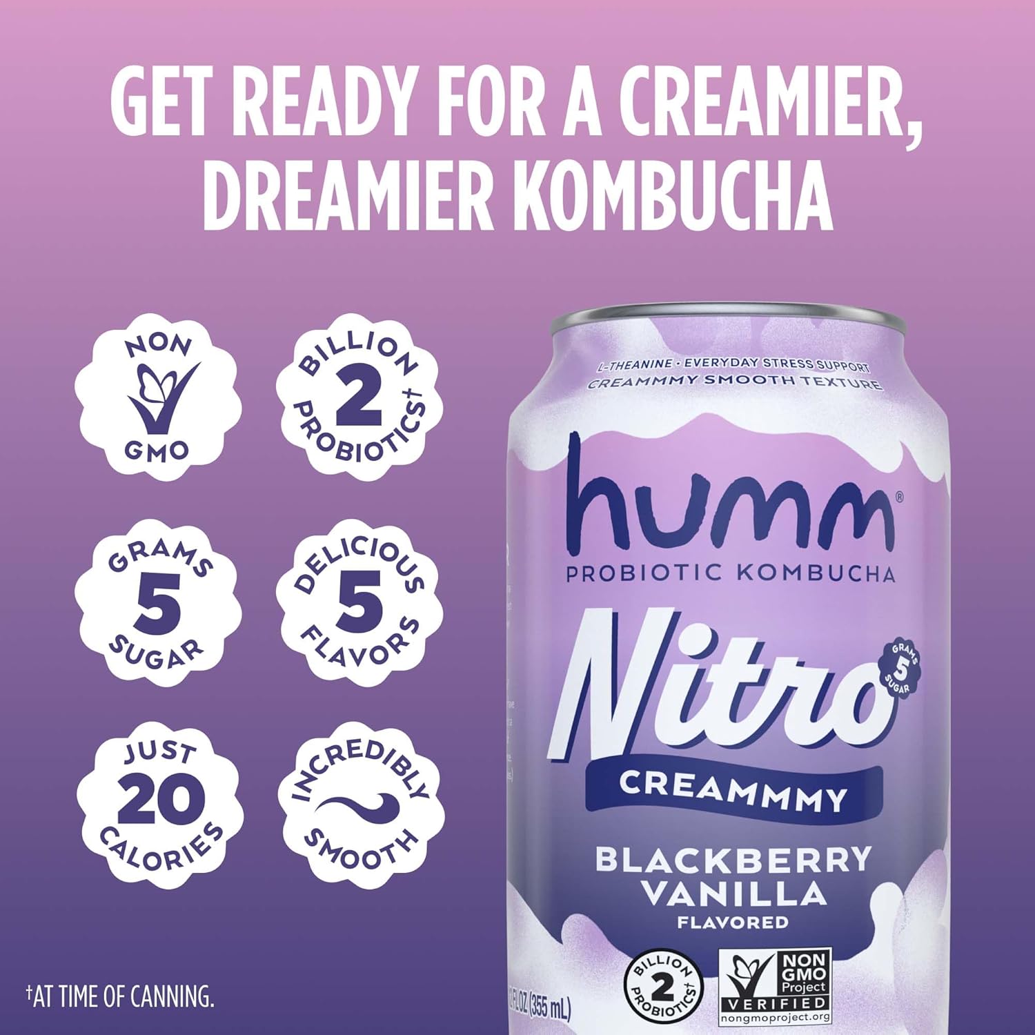 Humm Nitro Kombucha Blackberry Vanilla, Creamy Smooth Probiotic Drink with L-Theanine, Non-GMO, Vegan, Gluten Free, 12 fl oz (Pack of 24)