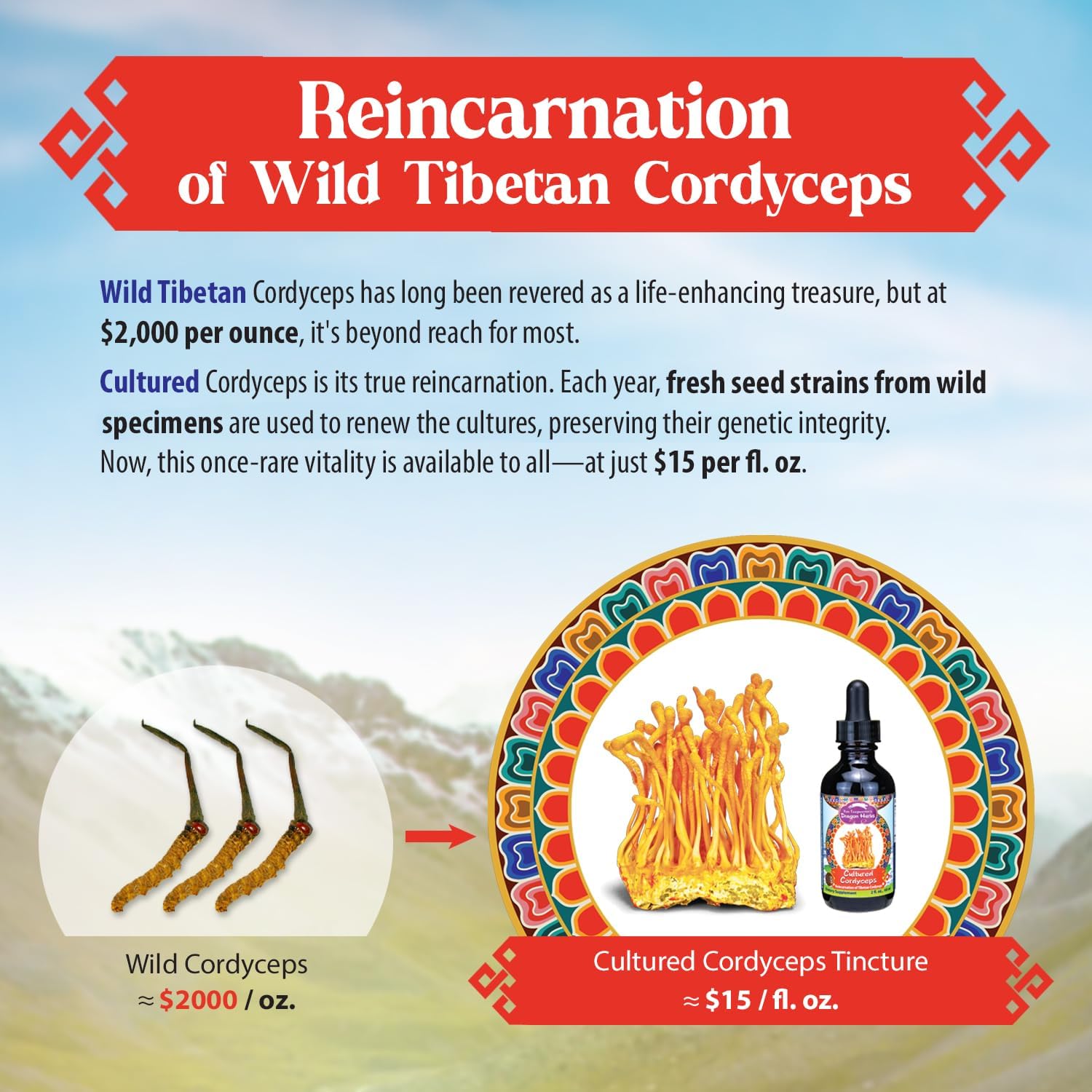 Dragon Herbs Cultured Cordyceps Drops Tibetan Wild Strain • Mushroom Supplement • Deep Rejuvenation, Lung & Brain Power, Stamina • Triple Extractions • Cordycepin • Vegetarian, 2 fl oz 60ml • Tincture