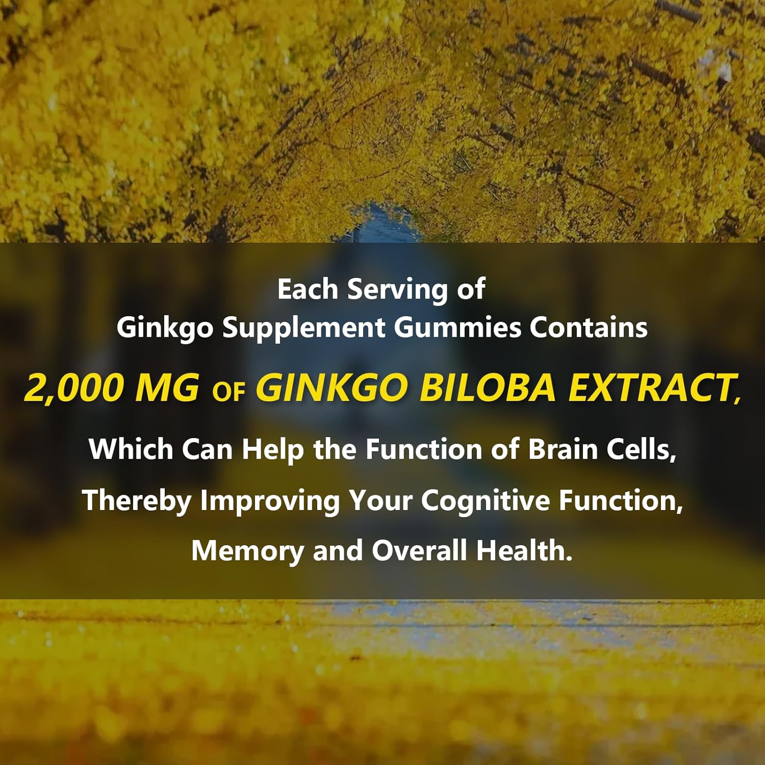 2 Packs 2000mg Ginkgo Biloba Gummies - Ginkgo Biloba Supplements for Brain Health Support, Improve Mood and Focus, Energy, Adult, Strawberry Flavor, 120 Count