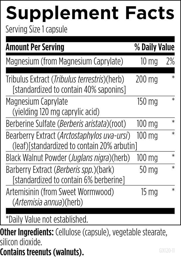 Designs for Health GI Microb-X - Botanical Gut Support, Cleanse + Detox Supplement with Tribulus, Berberine + Barberry Extract - Vegetarian + Non-GMO (120 Capsules)