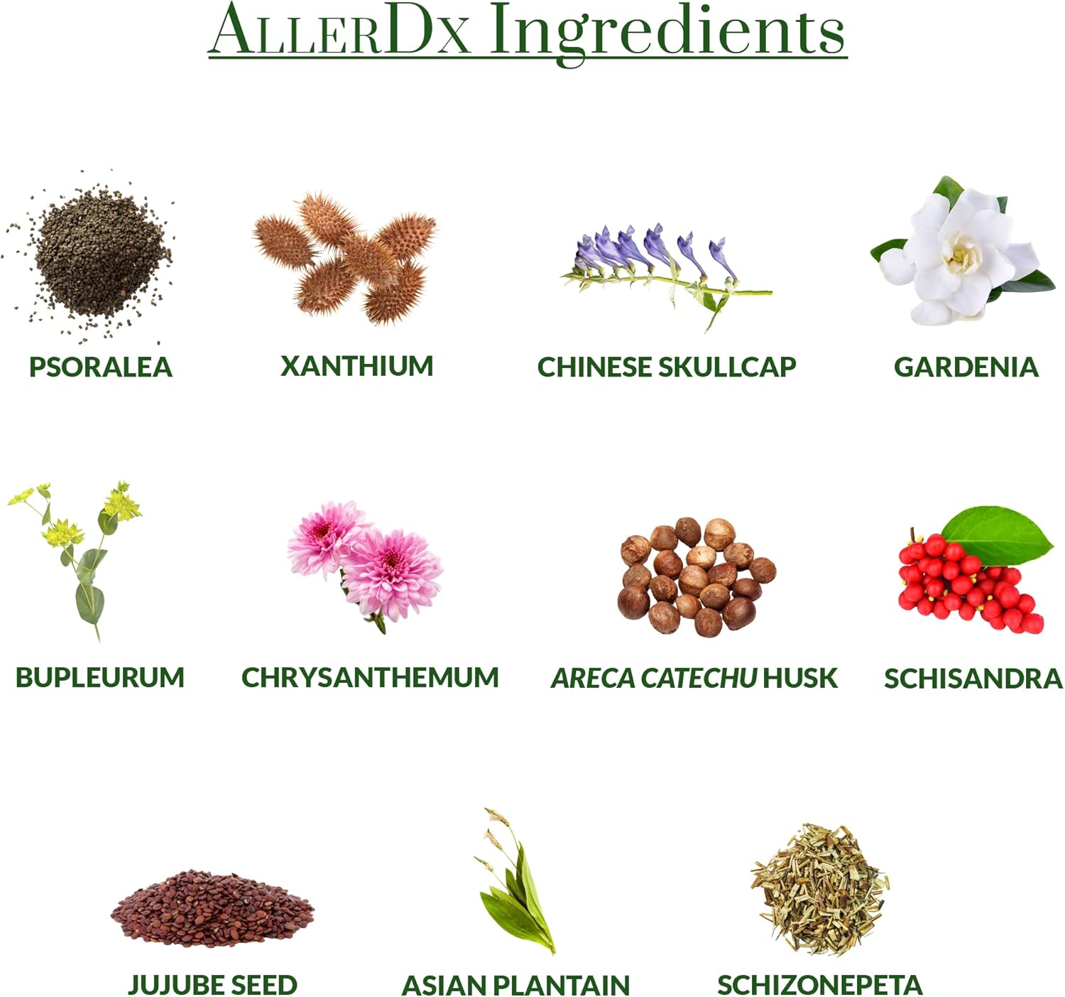AllerDx Natural Herbal Seasonal Support Supplement - Non-Drowsy, Stimulant Free, Fast-Acting Respiratory Support - 60 Capsules