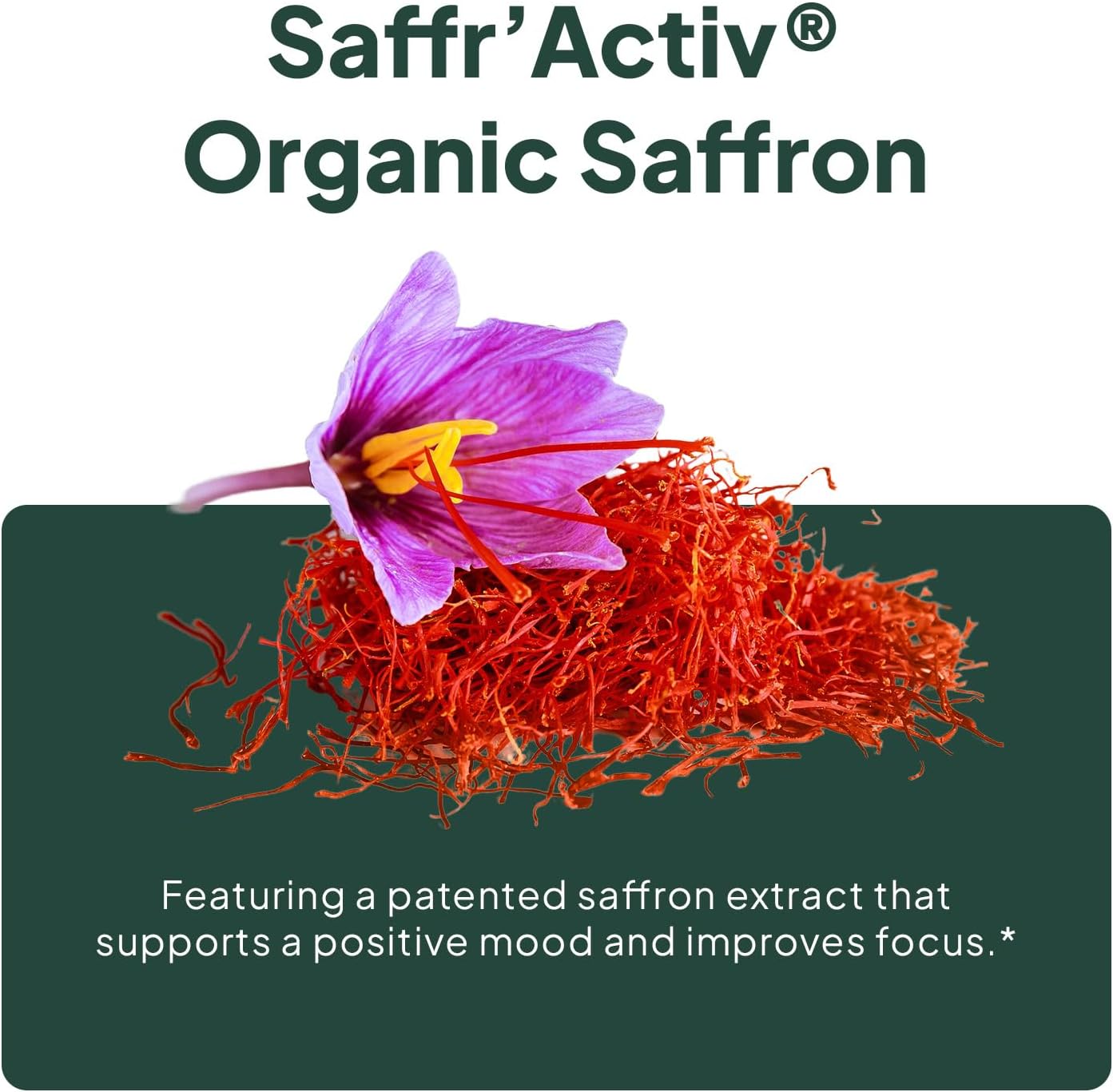 Organics Ocean Chill Buttons - Organic Ashwagandha Reduces Tension, Enhances Memory and Vision, and Brightens Mood - Contains Ashwagandha KSM-66, Rhodiola Rosea, and Organic Saffron