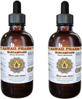 Elecampane Liquid Extract, Organic Elecampane (Inula Helenium) Tincture Supplement 2x2 oz