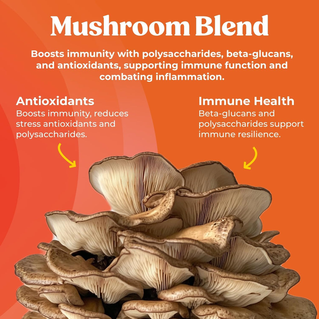 Super Shield - Mushroom Supplement - Chaga, Maitake, Reishi, Shiitake, and Turkey Tail Mushrooms, Vitamin C, Zinc, Black Elderberry, Antioxidants - Immune Support (60 Capsules)