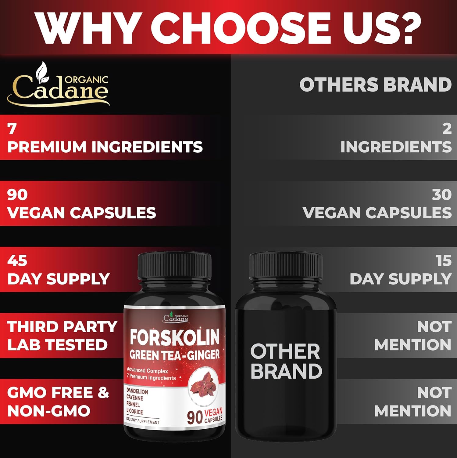 Organic Cadane Forskolin Supplement with Green Tea, Ginger, Dandelion, Cayenne, Fennel, and Licorice| Body Management & Energy Support | Vegan, Non-GMO – 90 Capsules – 45-Day Supply