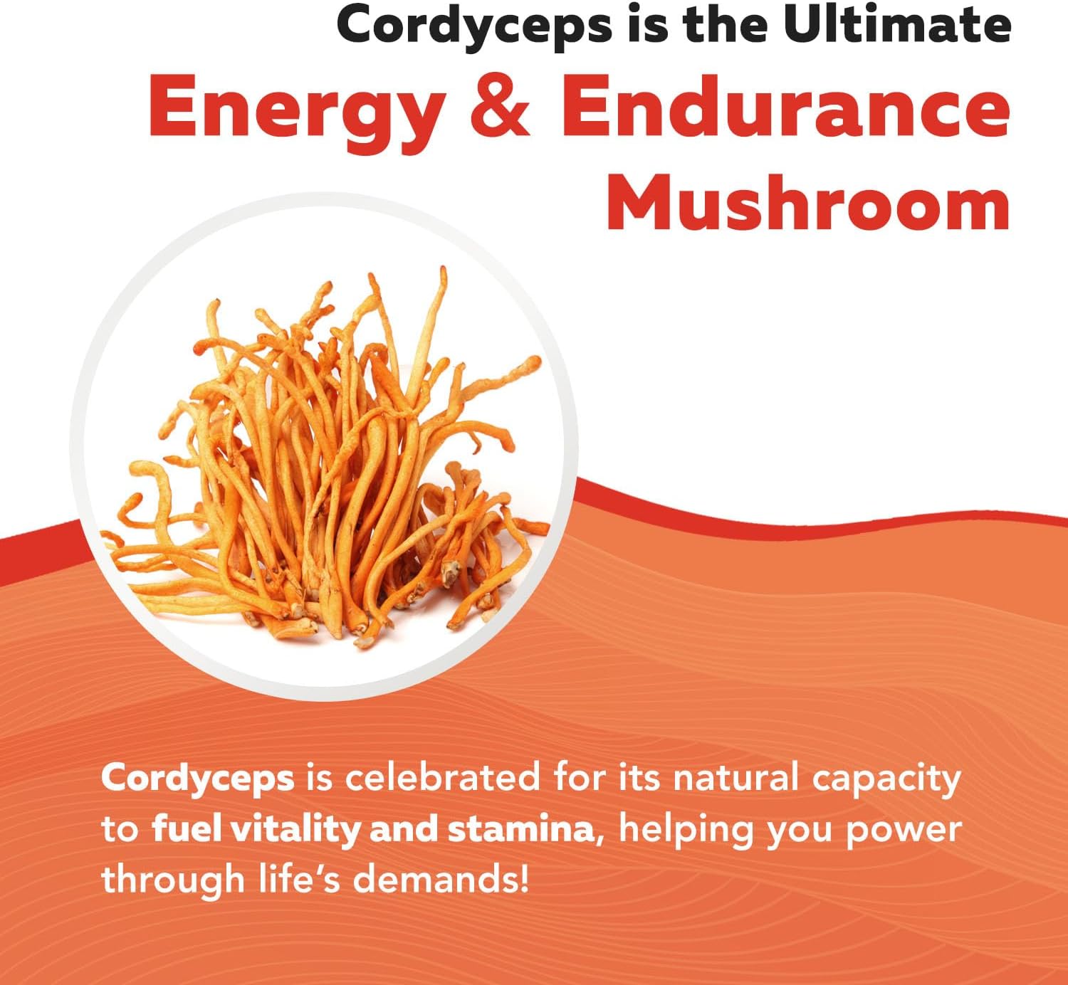 Organic Cordyceps Mushroom Extract - 70% Beta Glucans - Highest Active Nutrient Levels, Max Potency Cordyceps Tincuture, US Grown + Ultrasonic Extraction - Performance, Immunity and Energy - 8 oz.