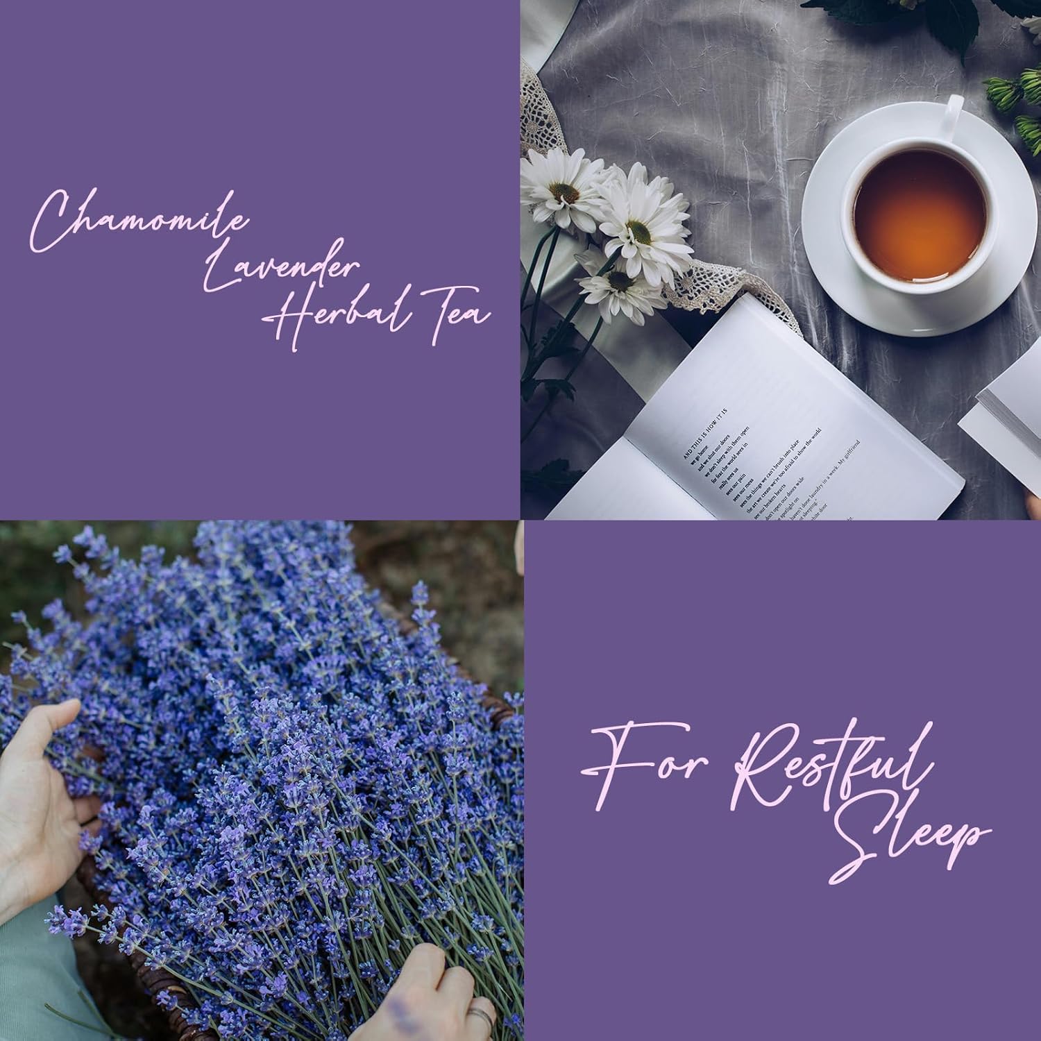 Life Plus Style Gourmet Pagoda Garden Chamomile Lavender Organic Herbal Tea Caffeine Free Hot or Iced Floral Blend Natural Delicious Sleep Tea 60 Tea Bags