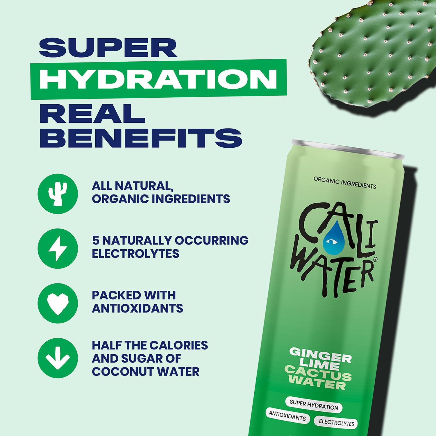 Caliwater - Organic Cactus Water - Ginger and Lime - 5g Sugar, 25 Calories - Coconut Water Alternative - Natural Plant Based Hydration - Skin Care, Electrolyte Drinks - Flavored Water - 12 Cans