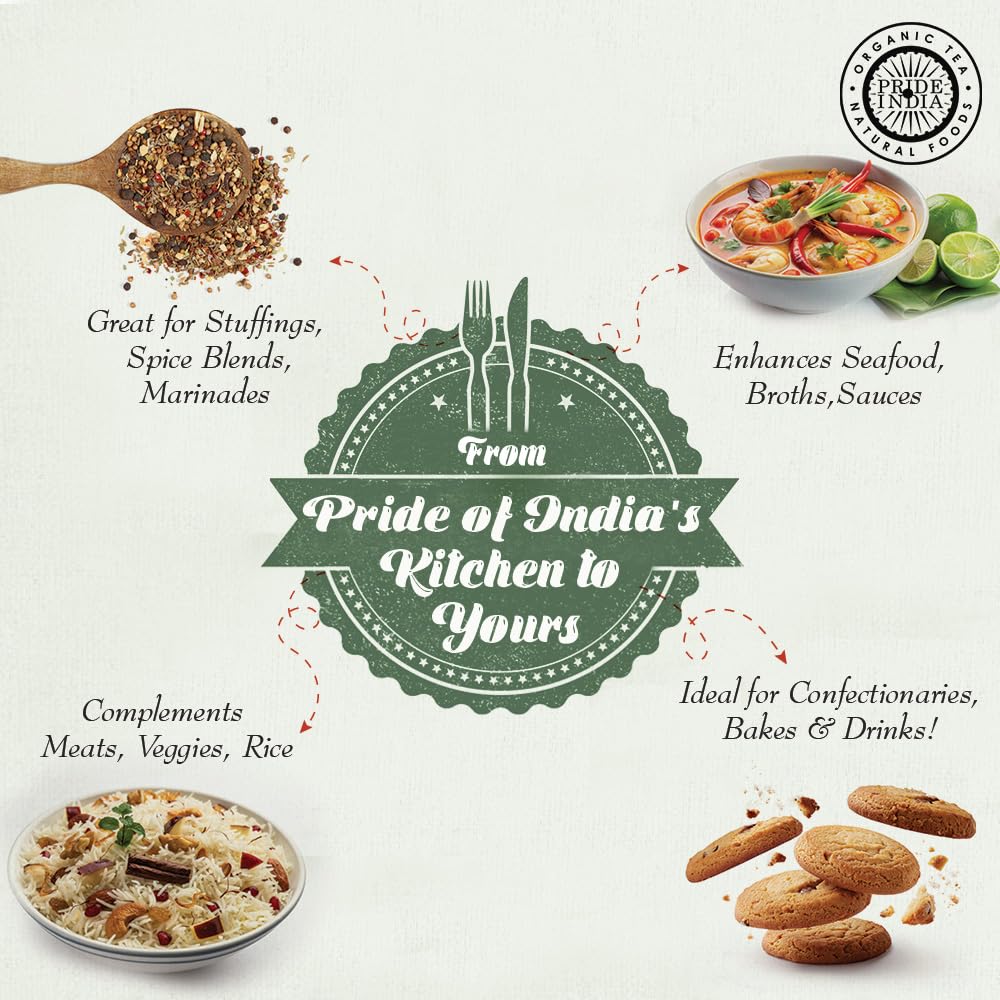 Pride of India - PACK of 6 - Fennel Seed Whole – Gourmet Spice – Fresh & Aromatic – Mouth Freshener – GMO/Gluten Free – Flavoring for bakes, meat & more – Easy to Use – 8 oz. Medium Dual Sifter Jar