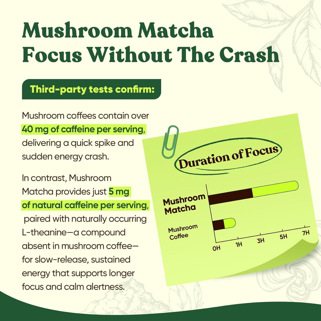 Venture Pal 12 Mushroom Matcha Powder – Mushroom Coffee Alternative with Lion’s Mane & Chaga + 1.5B Probiotics & L-Theanine, First Harvest Ceremonial Green Tea for Better Focus & Energy, 30 Servings