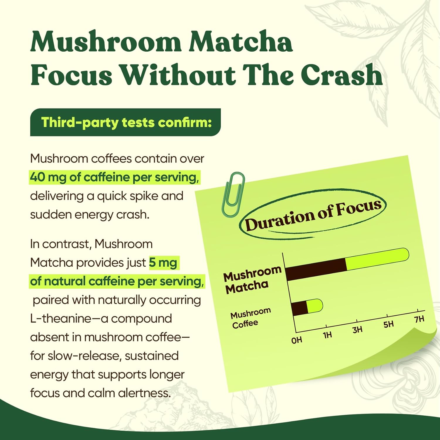 Venture Pal 12 Mushroom Matcha Powder – Mushroom Coffee Alternative with Lion’s Mane & Chaga + 1.5B Probiotics & L-Theanine, First Harvest Ceremonial Green Tea for Better Focus & Energy, 30 Servings