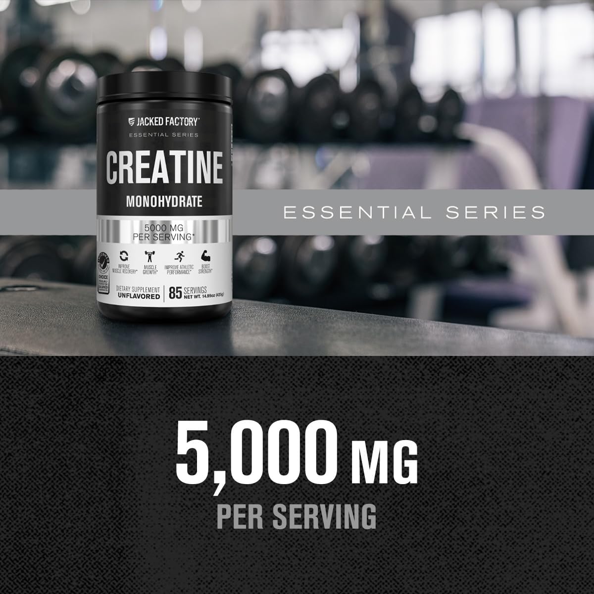 Jacked Factory Creatine Monohydrate Powder 425g - 5g Daily Creatine Supplement for Men and Women, Vegan-Friendly, Third-Party Tested - 85 Servings, Unflavored