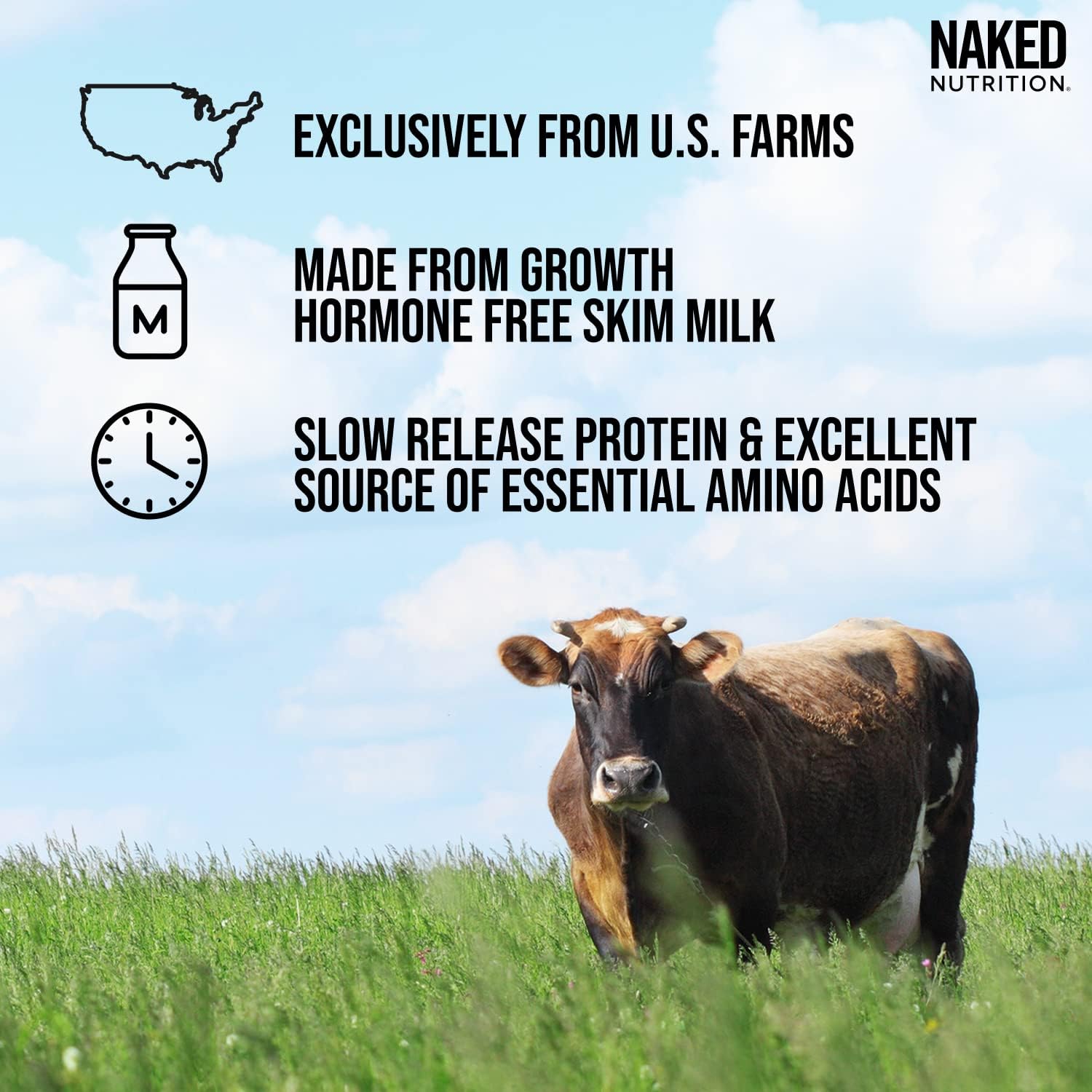 NAKED Casein - 1Lb Micellar Casein Protein - Bulk, GMO-Free, Gluten Free, Soy Free, Preservative Free - Stimulate Muscle Growth - Enhance Recovery - 15 Servings
