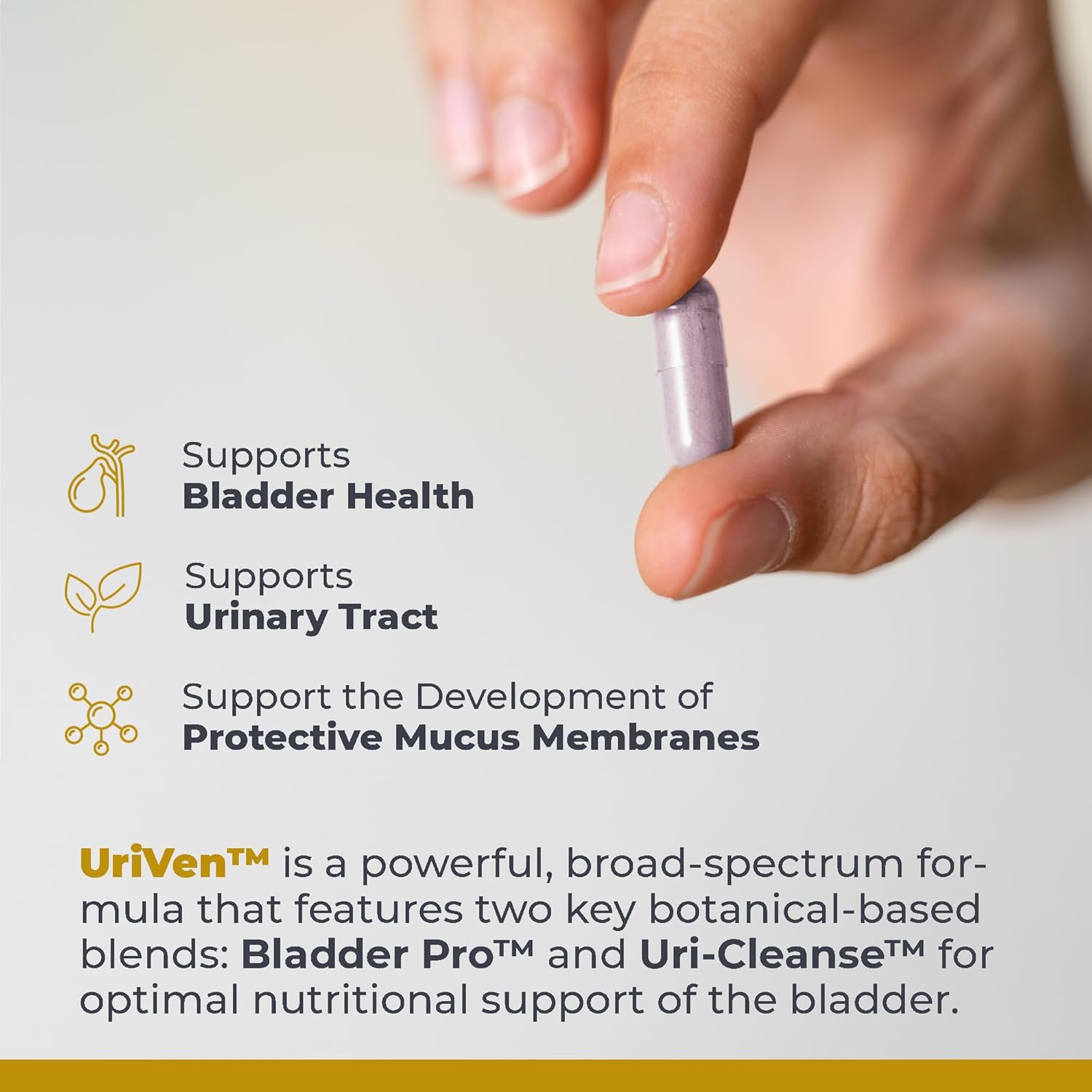 Premier Research Labs UriVen - Bladder Health Support for Women & Men, Cranberry Extract & Marshmallow Root, Urinary Relief, Bladder Relief, Bladder Control Supplement - 60 Vegetarian Capsules