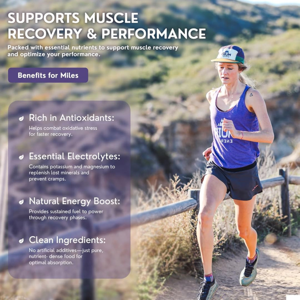 MUIR Slow Burn Variety Gel Pack - 24 Count (12 Cacao Almond, 12 Cashew Vanilla Mate) - Organic Real Food Energy Gel for Running, Cycling & Endurance - Long-Lasting, Easy-to-Digest, Vegan, Non-GMO