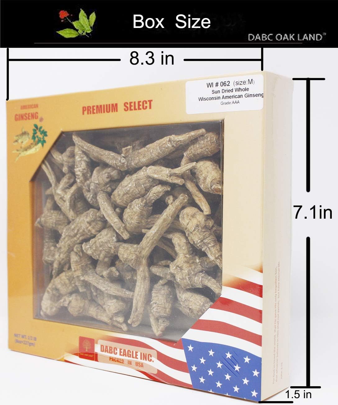 DOL Hand-Selected American Wisconsin Farmed Ginseng Root Medium&Large 美国威斯康辛州 长枝西洋参 花旗参 | Cultivated Wisconsin American Ginseng (Medium 8oz/Box)