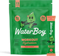 Waterboy Workout Hydration | 2,960mg Sugar Free Electrolyte Powder Packets | L-Glutamine + Vitamins | No Sugar, All Natural, Gluten Free | 15 Drink Stick Mixes (Fruit Punch)