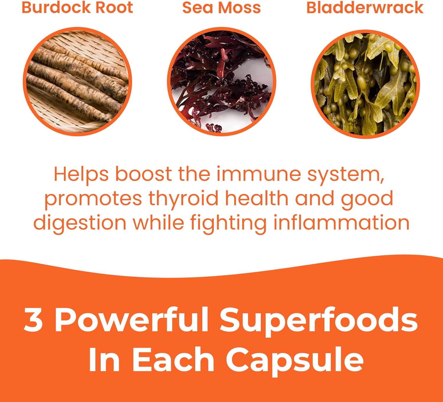 INFINITE AGE 1250mg Sea Moss Advanced Superfood Capsules, 60 Count - High-Potency, Vegan, Made in The USA - Irish Seamoss, Bladderwrack, Burdock Root - Overall Health, Immunity Support